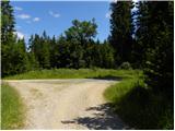 Koglereck - Kleiner Speikkogel (Golica / Koralpe)